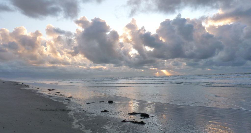 Accéder à la galerie complète (Baie de Somme) - Dieu est un fumeur de havanes