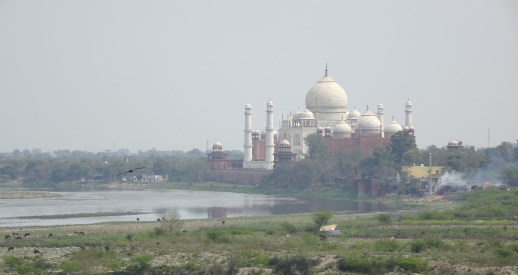 Accéder à la galerie complète (Inde) - Dieu est un fumeur de havanes