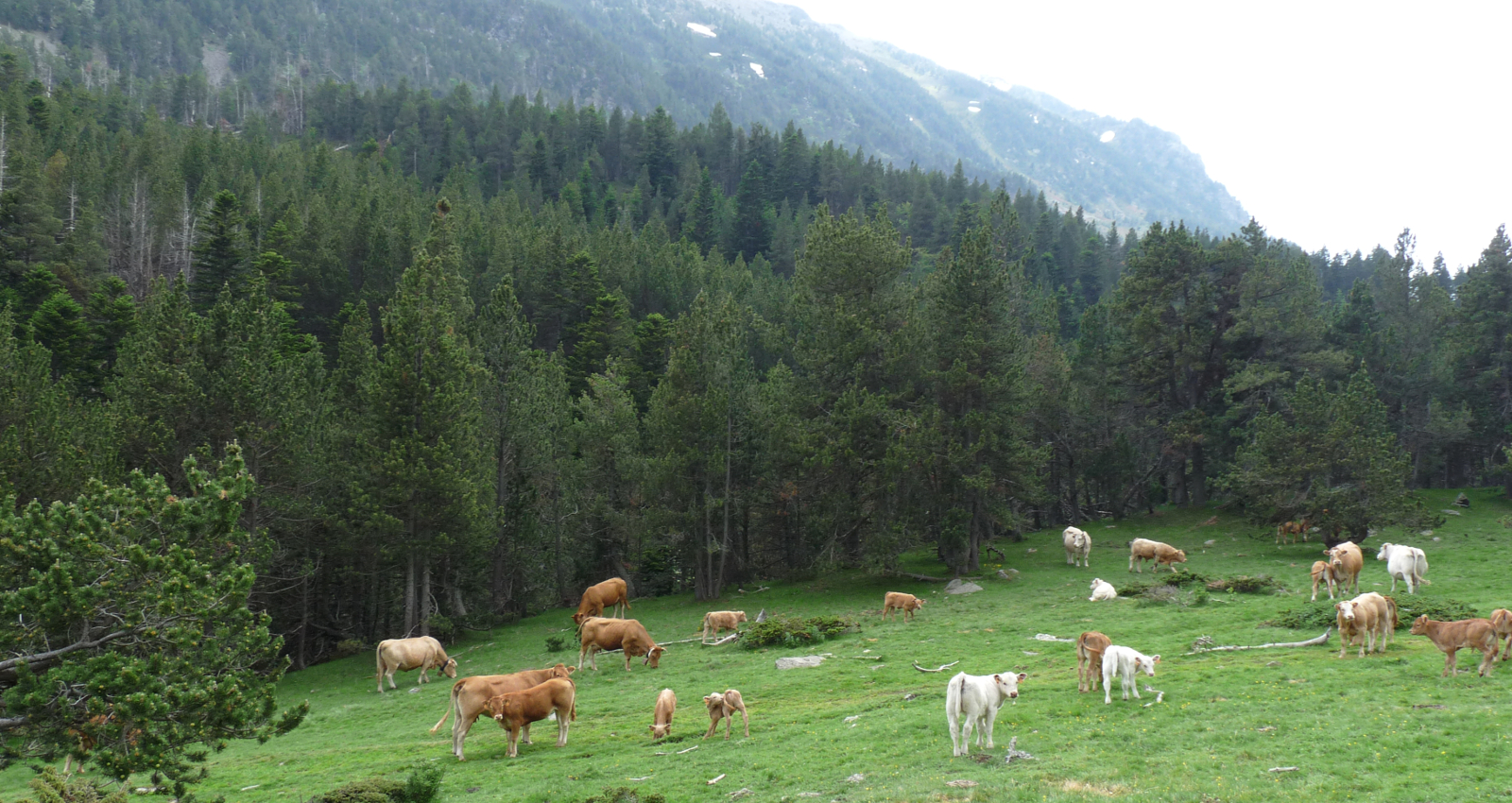 France - Pyrénées Catalanes